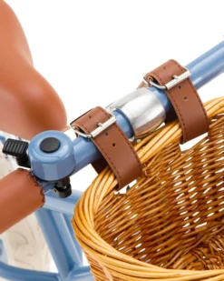 Bicicletta Senza Pedali First Go, Blu - per Bambini da 3 a 5 Anni!