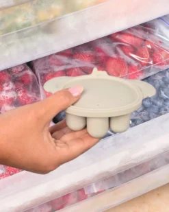 Contenitore in Silicone per Freezer - Dune - 7 Scomparti