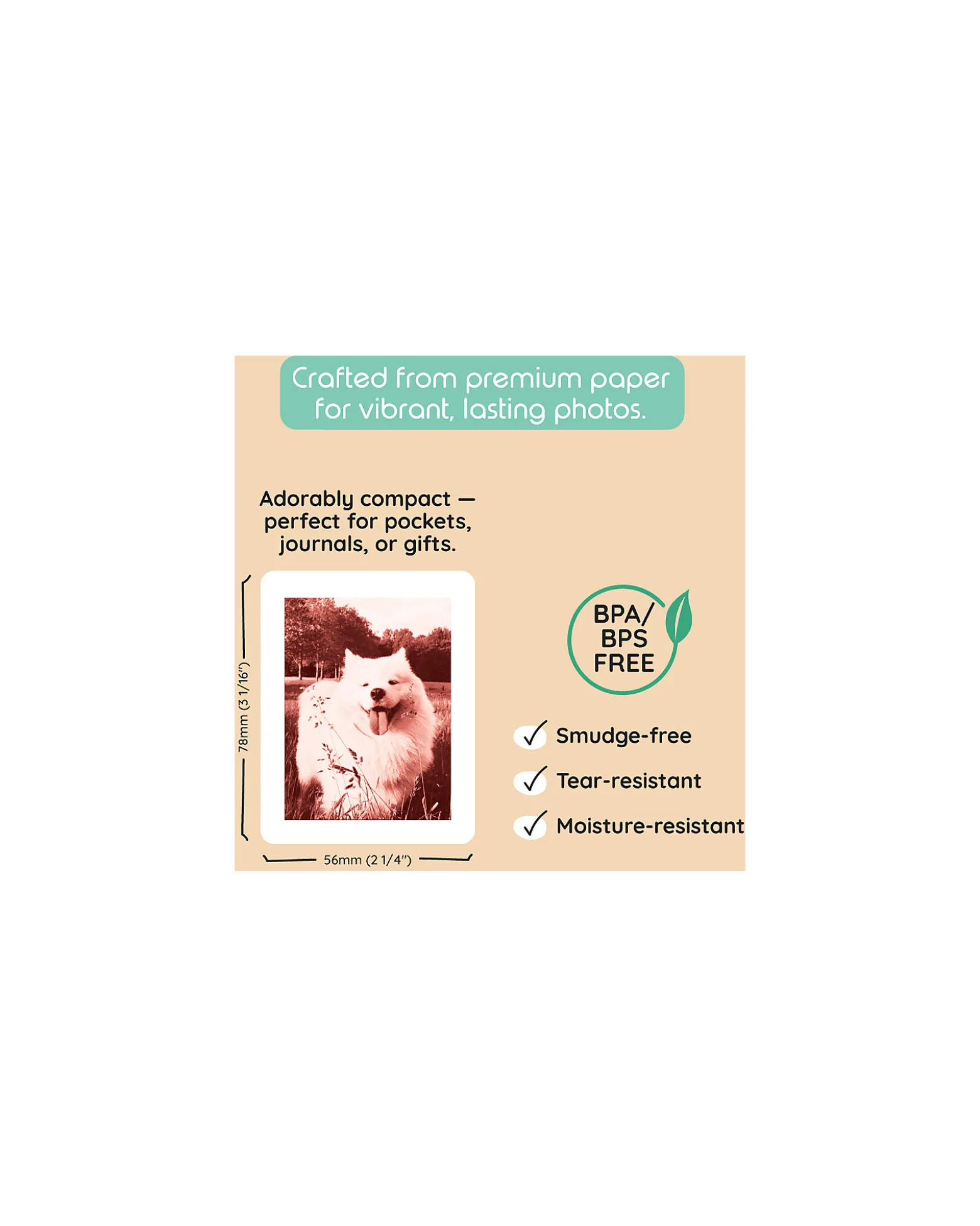 Kiimento Carta Fotografica Ink-Free per Fotocamera Model P2 - 40 Fogli
