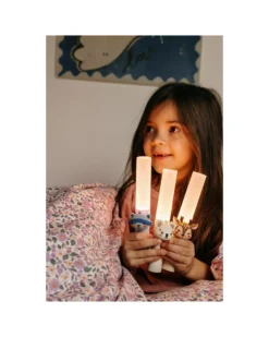 Lampada Portatile 3-in-1 Zoo Light - Procione - con Modalità Sleep, Walk e Read