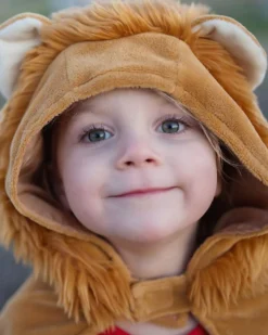 Mantello per Costume da Leone (2-3 Anni)