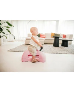 My First 3in1 - Babywalker - Rose - Da 6 Mesi - Fino a 20kg