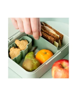 Portapranzo con Divisorio - Playground - Verde - Perfetto per Piccole Manine!