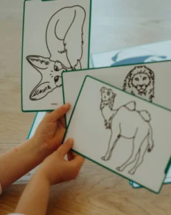 Ricarica per Kidydraw Mini - Animali e Pirati