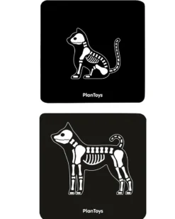 Set Gioco in Legno Borsa del Veterinario